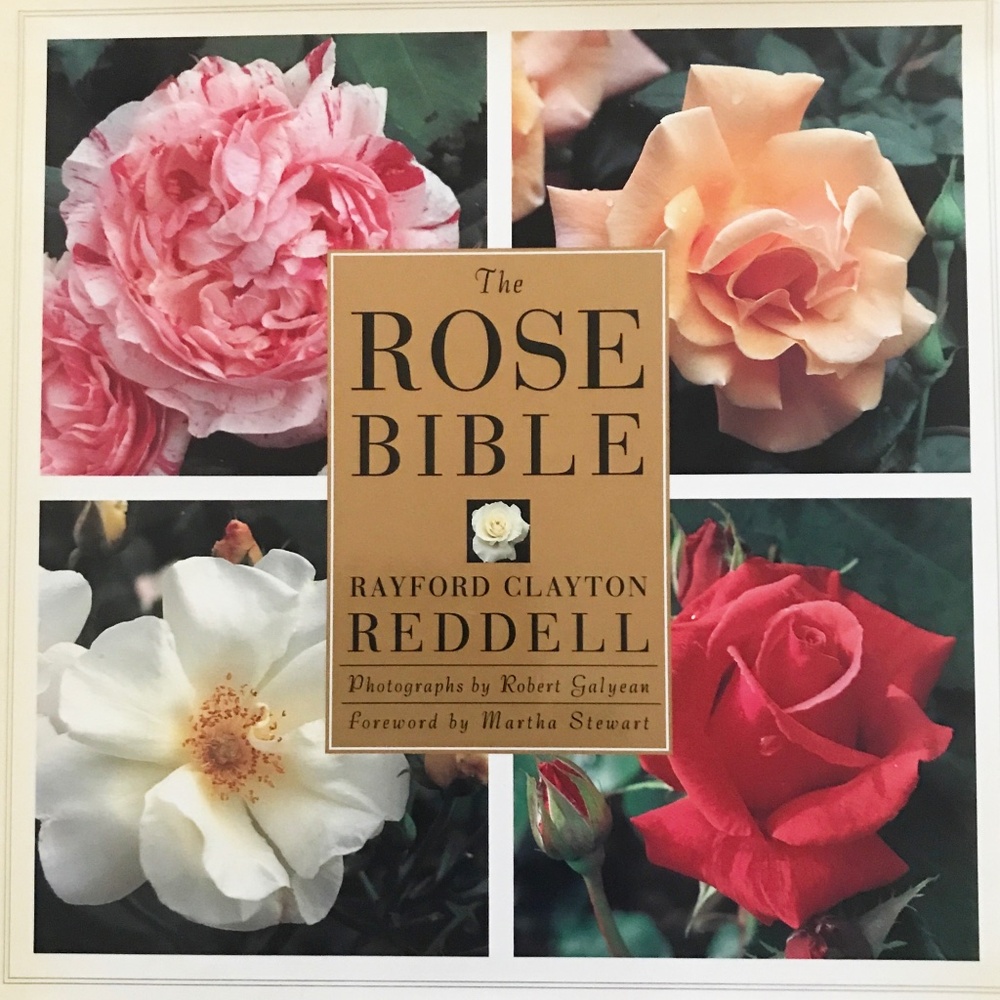 NWT "The Rose Bible" by Rayford Clayton Reddell